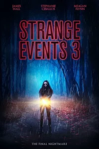 Странные дела 3